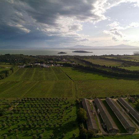 Tra Lago E Collina Passignano sul Trasimeno Exterior foto