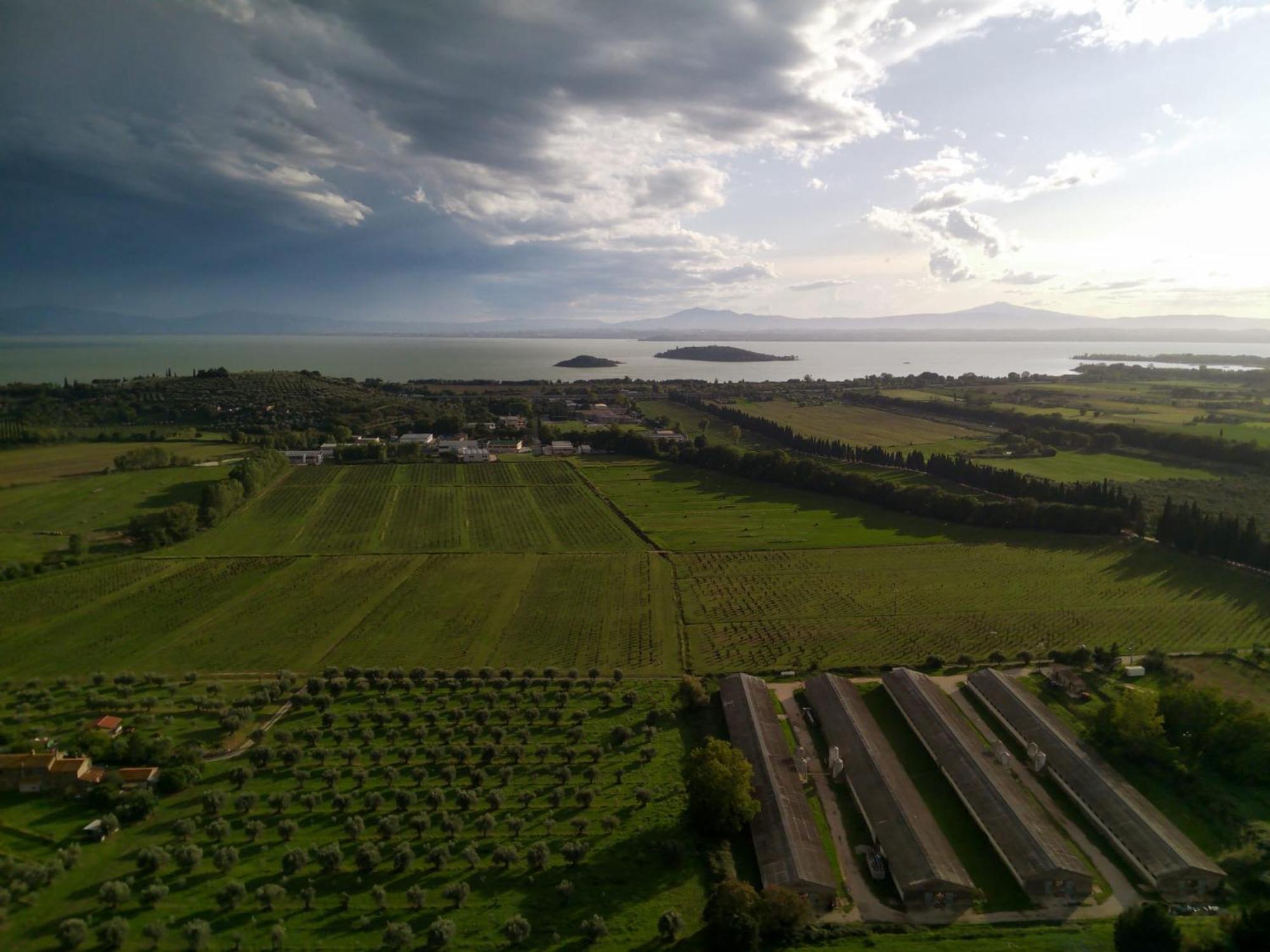 Tra Lago E Collina Passignano sul Trasimeno Exterior foto